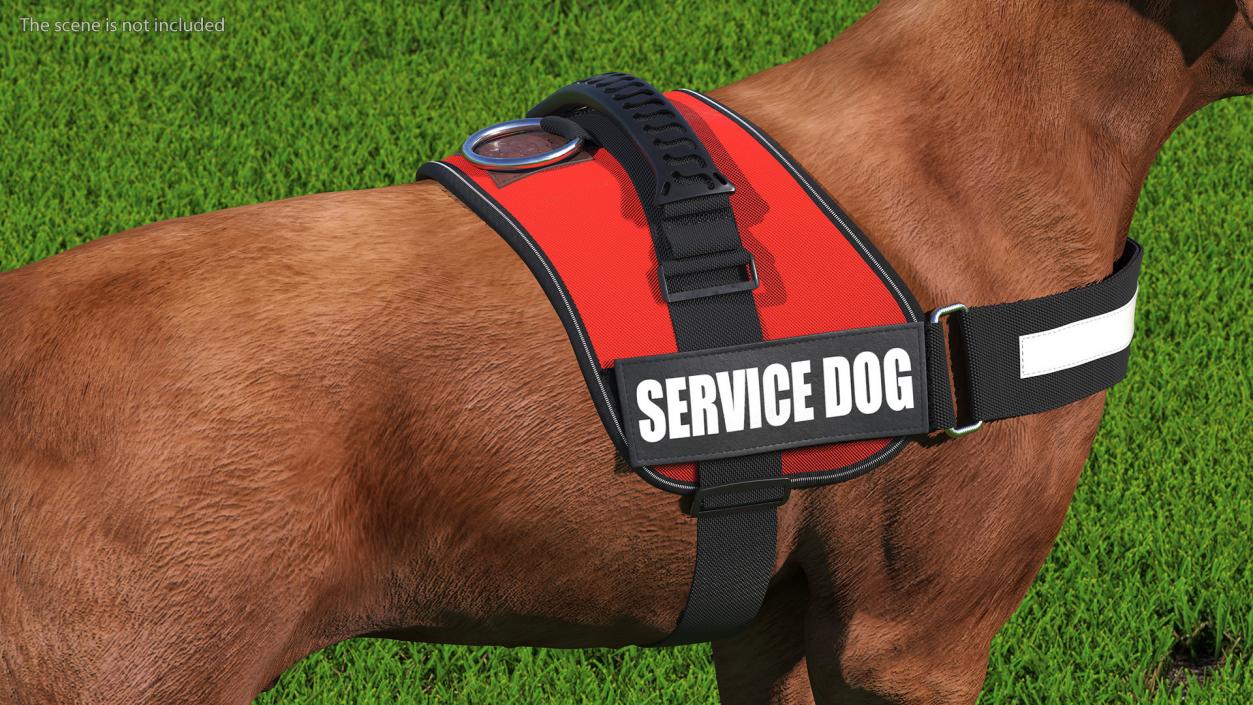 3D Service Dog with Harness Fur model