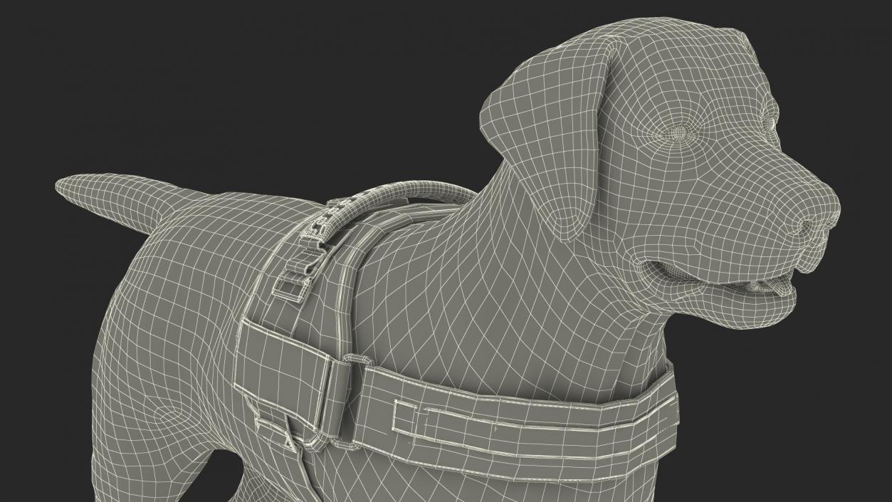 3D Service Dog with Harness Fur model