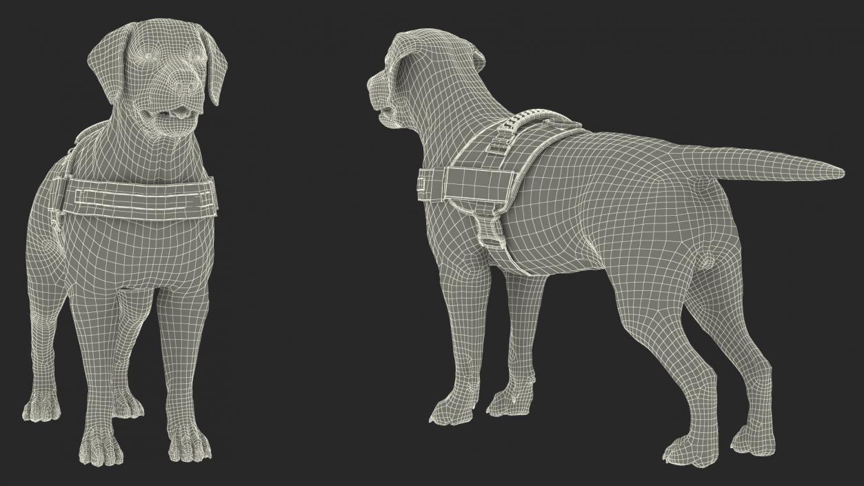 3D Service Dog with Harness Fur model