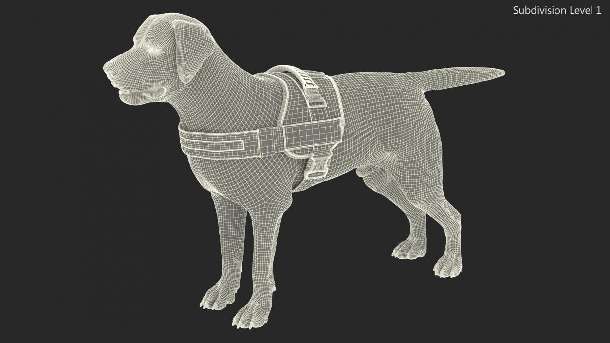 3D Service Dog with Harness Fur model