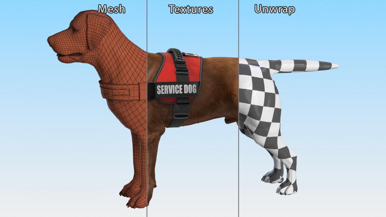 3D Service Dog with Harness Fur model