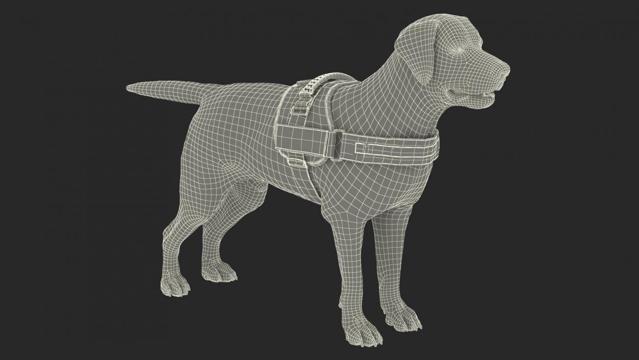 3D Service Dog with Harness Fur model