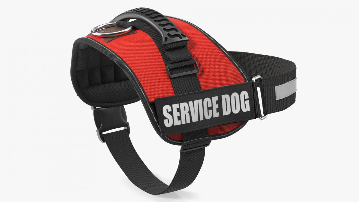 3D Service Dog with Harness Fur model