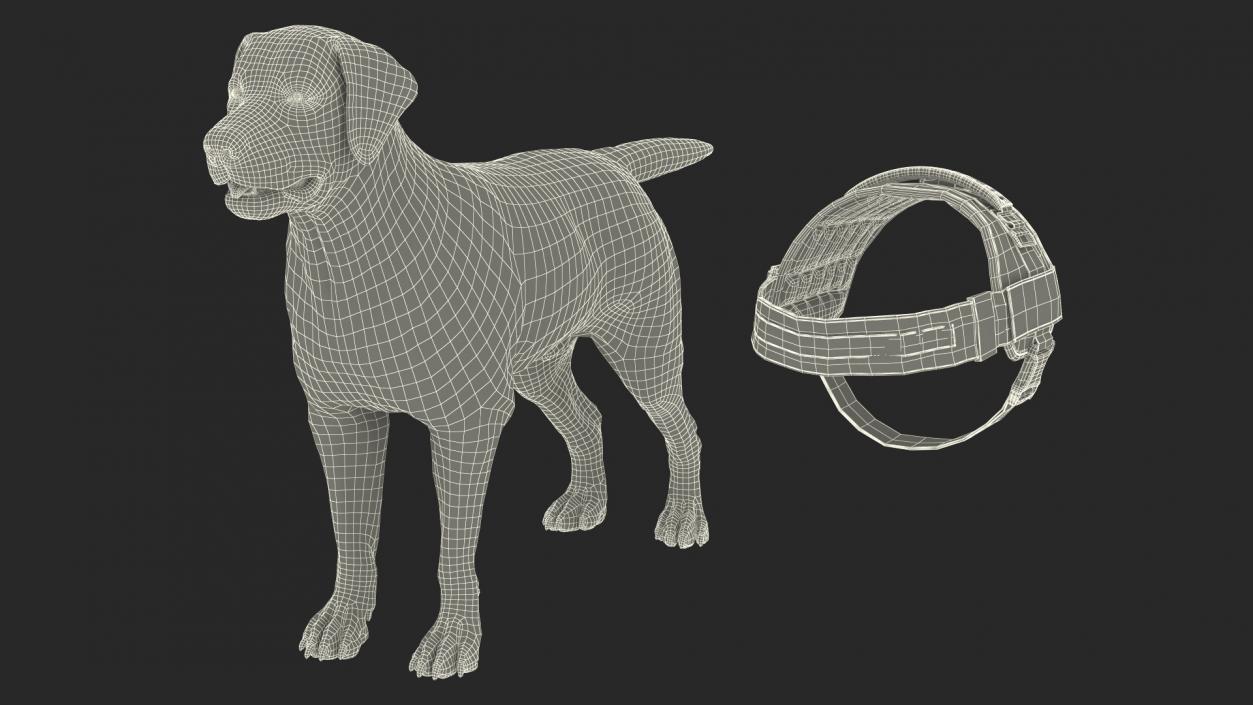 3D Service Dog with Harness Fur model