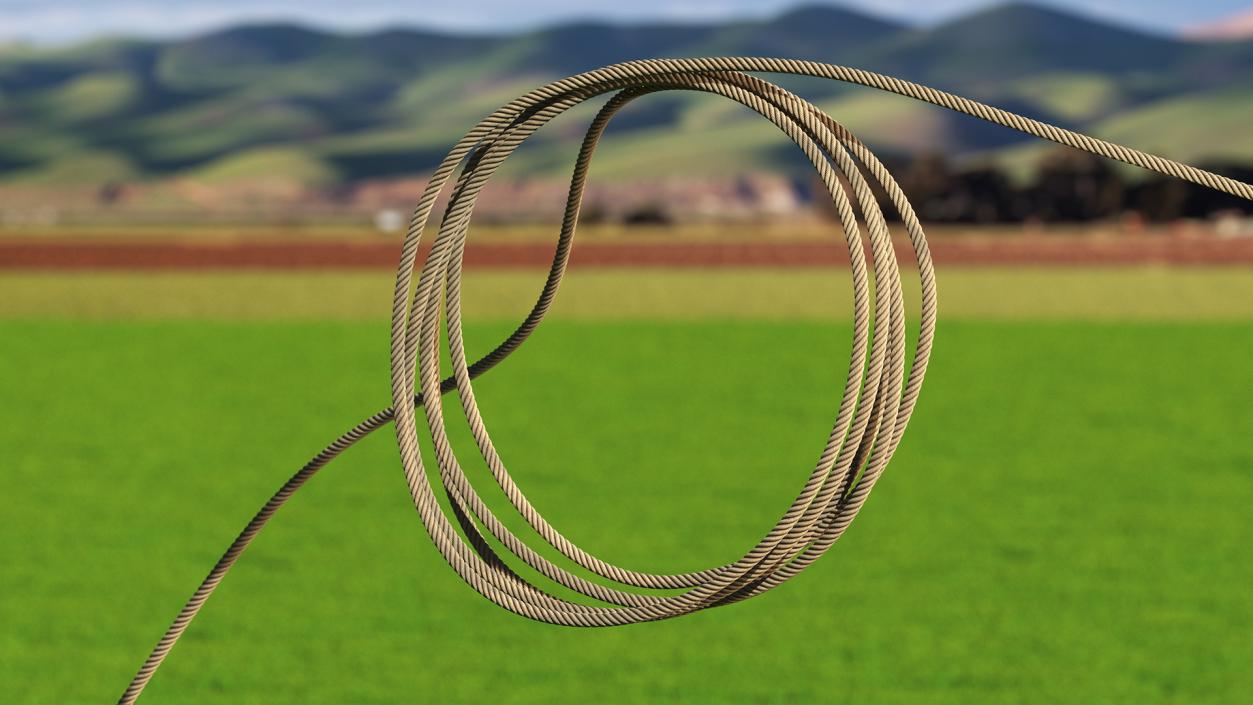 3D Lasso Rope for Catching Animals Flying model