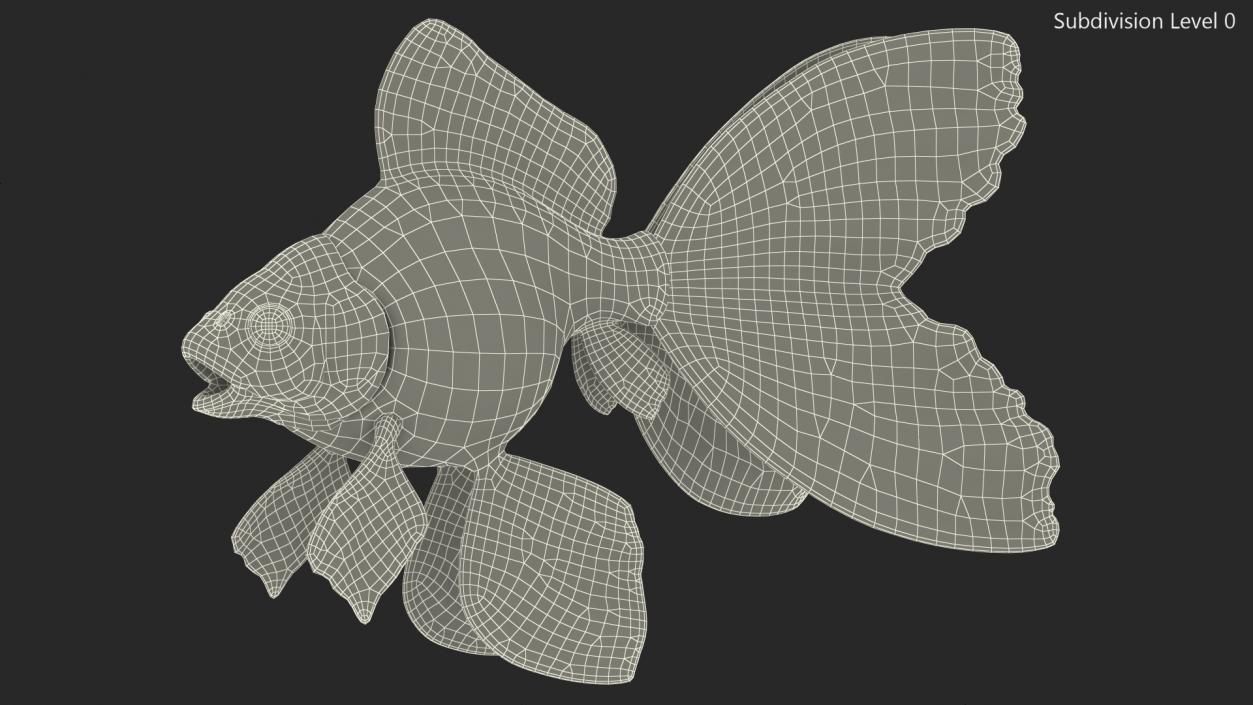 3D Black Moor Goldfish Rigged