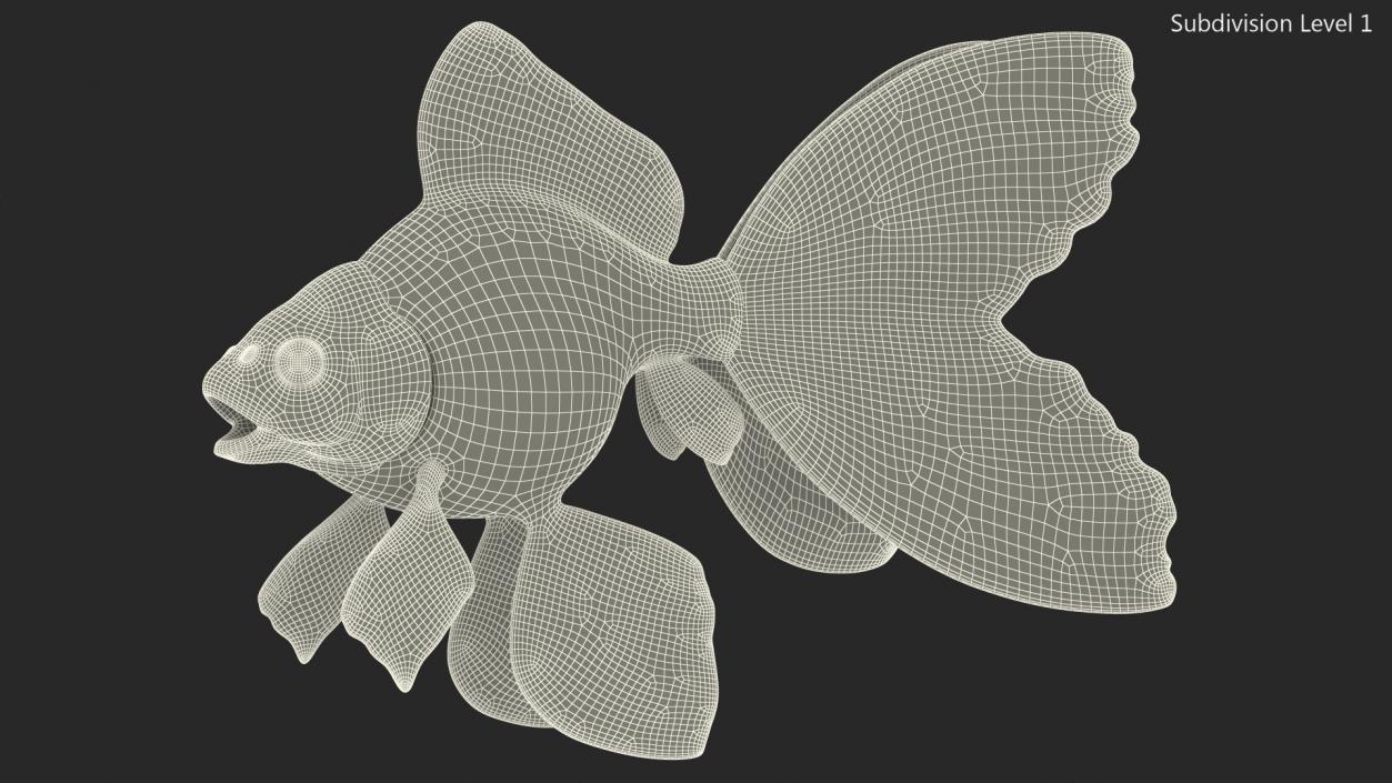 3D Black Moor Goldfish Rigged