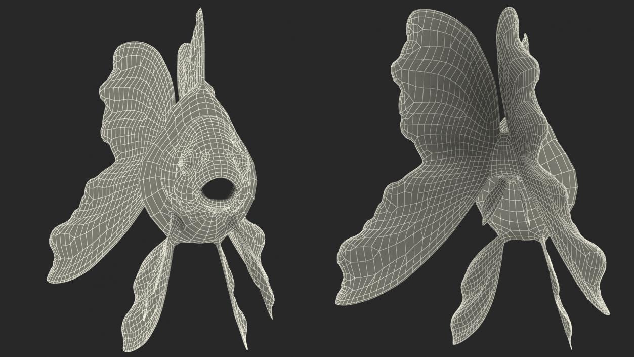 3D Black Moor Goldfish Rigged