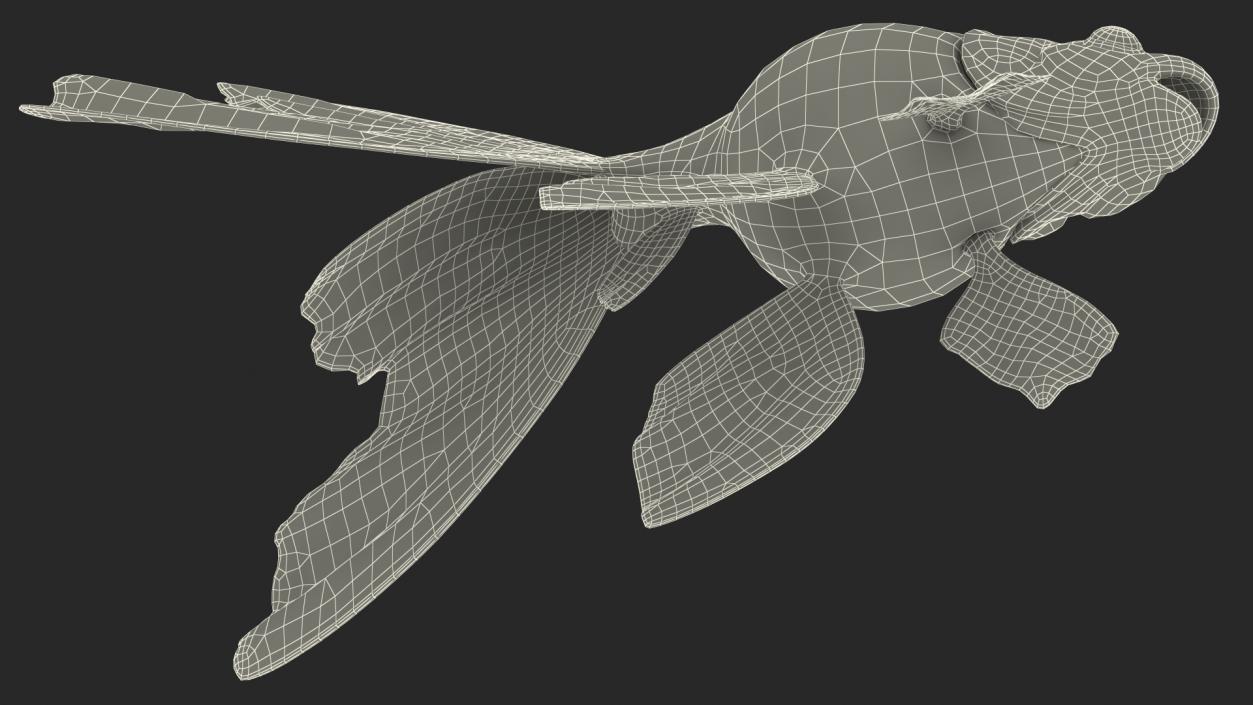 3D Black Moor Goldfish Rigged