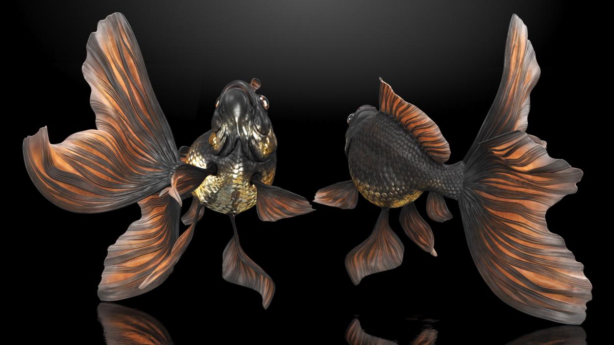 3D Black Moor Goldfish Rigged