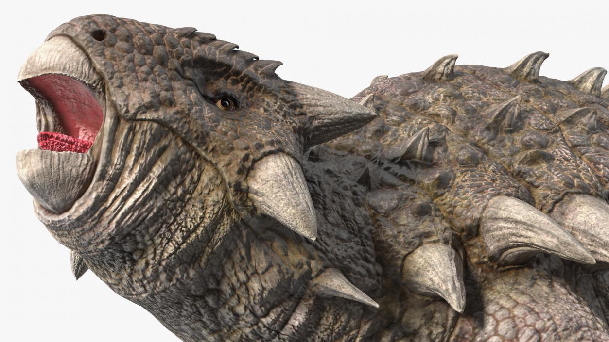 3D Ankylosaurus Deserted in Attack Pose