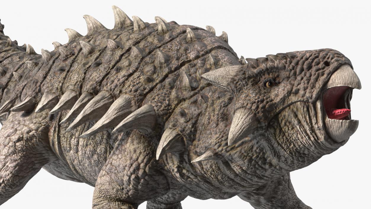 3D Ankylosaurus Deserted in Attack Pose