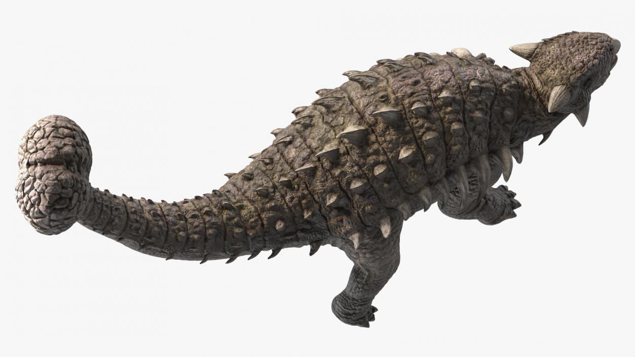 3D Ankylosaurus Deserted in Attack Pose