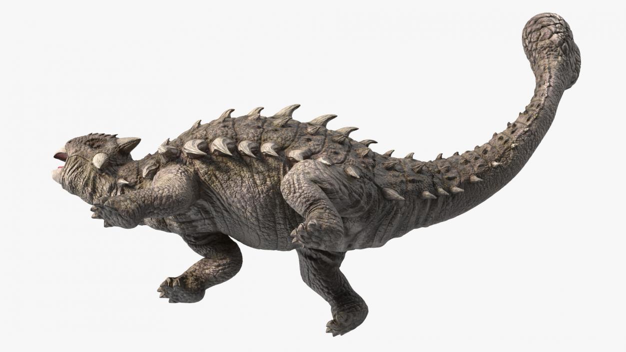 3D Ankylosaurus Deserted in Attack Pose