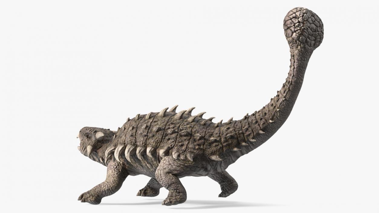 3D Ankylosaurus Deserted in Attack Pose