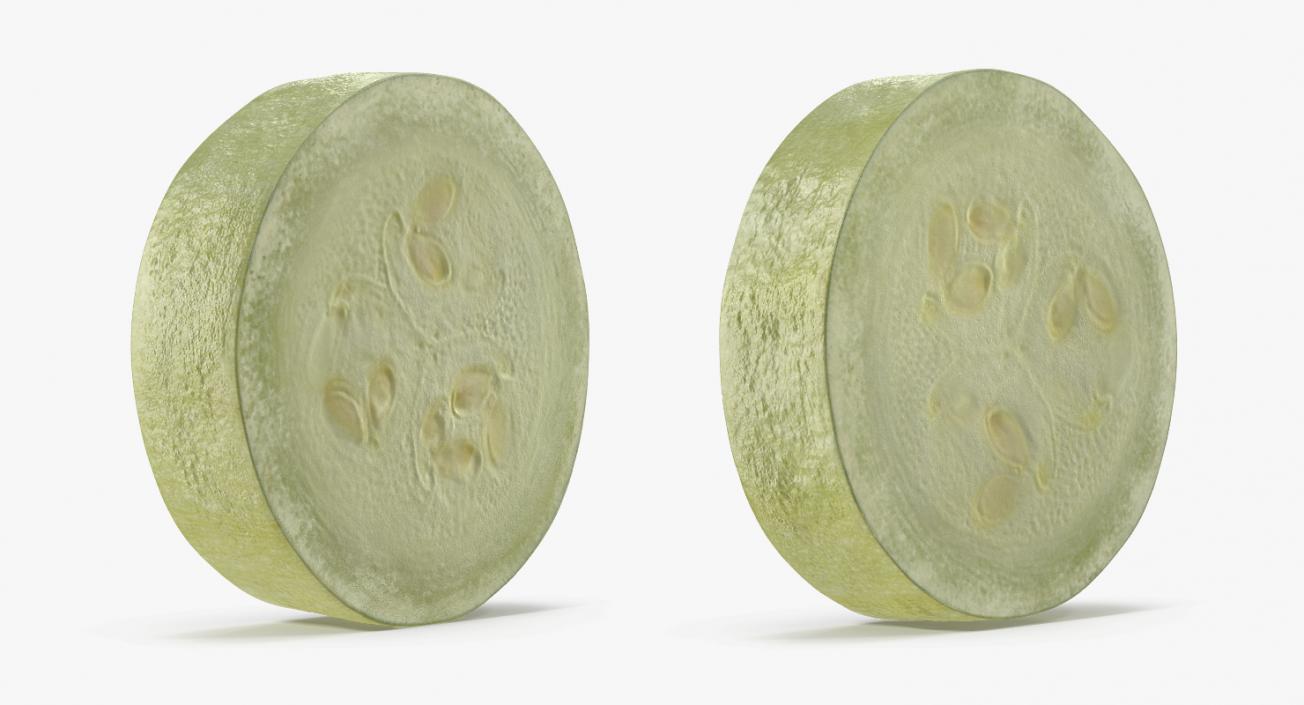 3D model Summer Squash Gray Zucchini Section