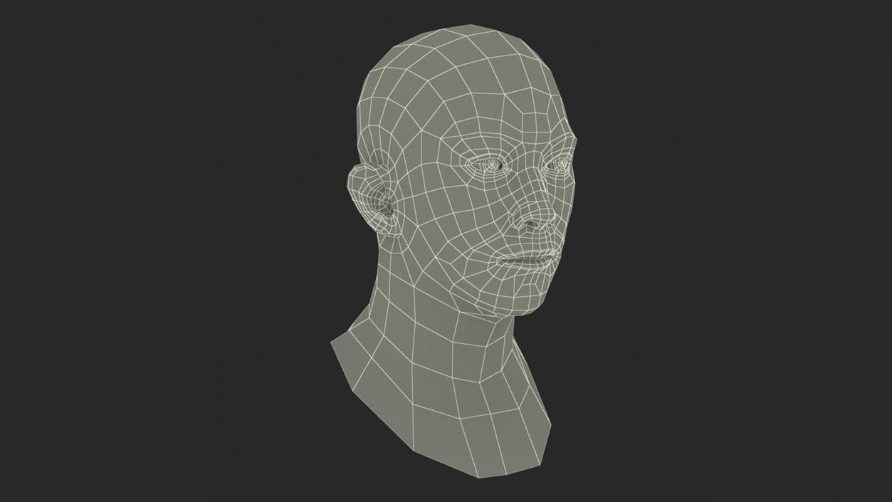 3D Male Heads Collection 4 model