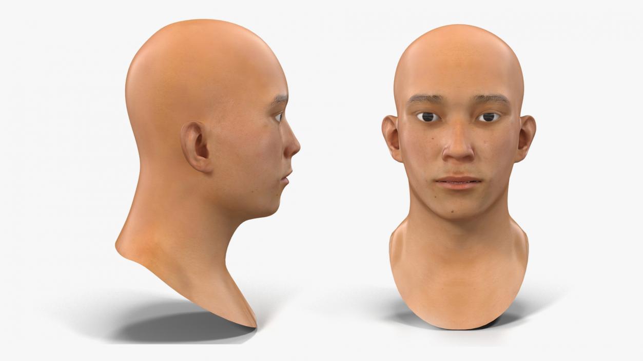 3D Male Heads Collection 4 model