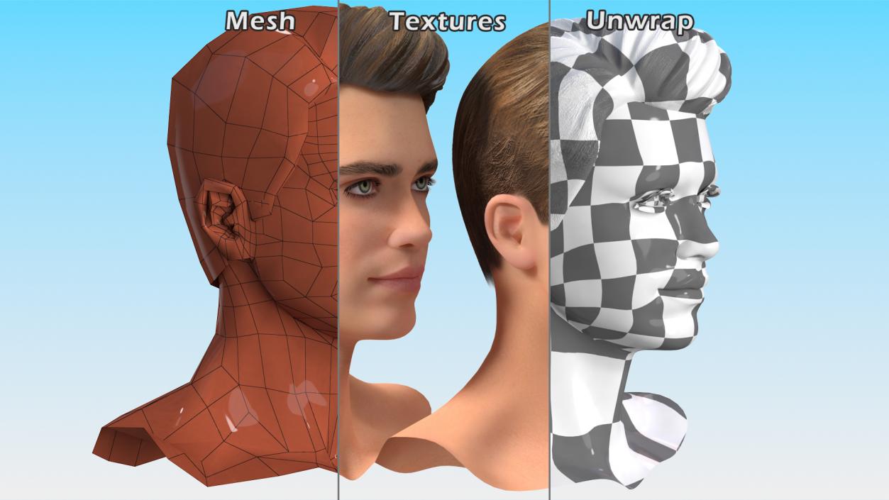 3D Male Heads Collection 4 model