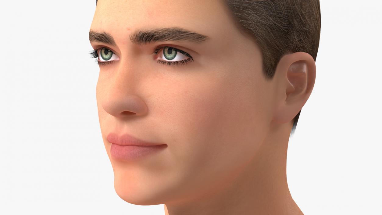 3D Male Heads Collection 4 model