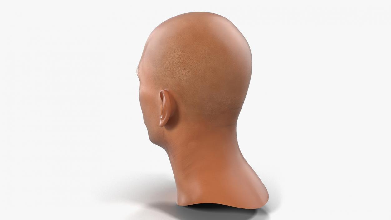 3D Male Heads Collection 4 model