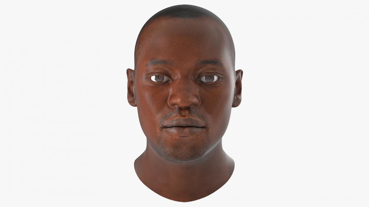 3D Male Heads Collection 4 model