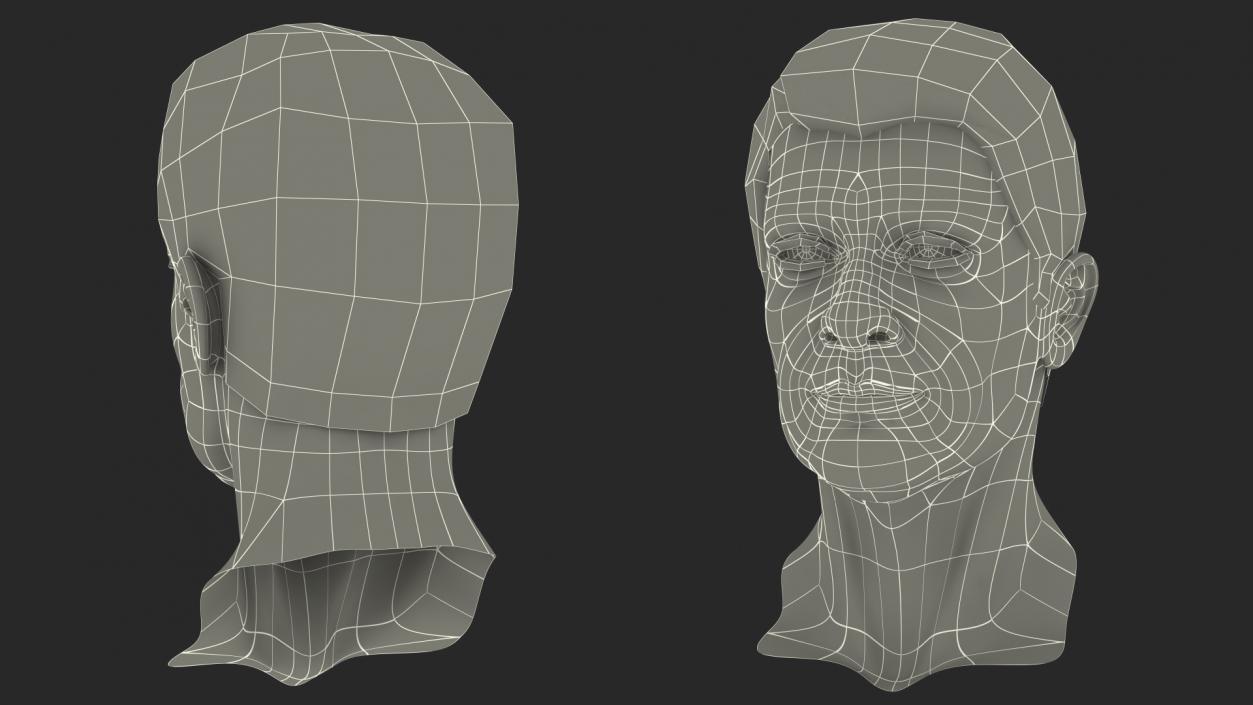 3D Male Heads Collection 4 model