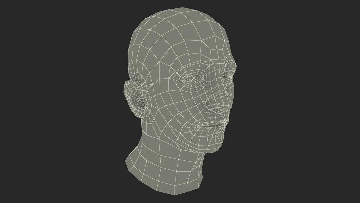 3D Male Heads Collection 4 model