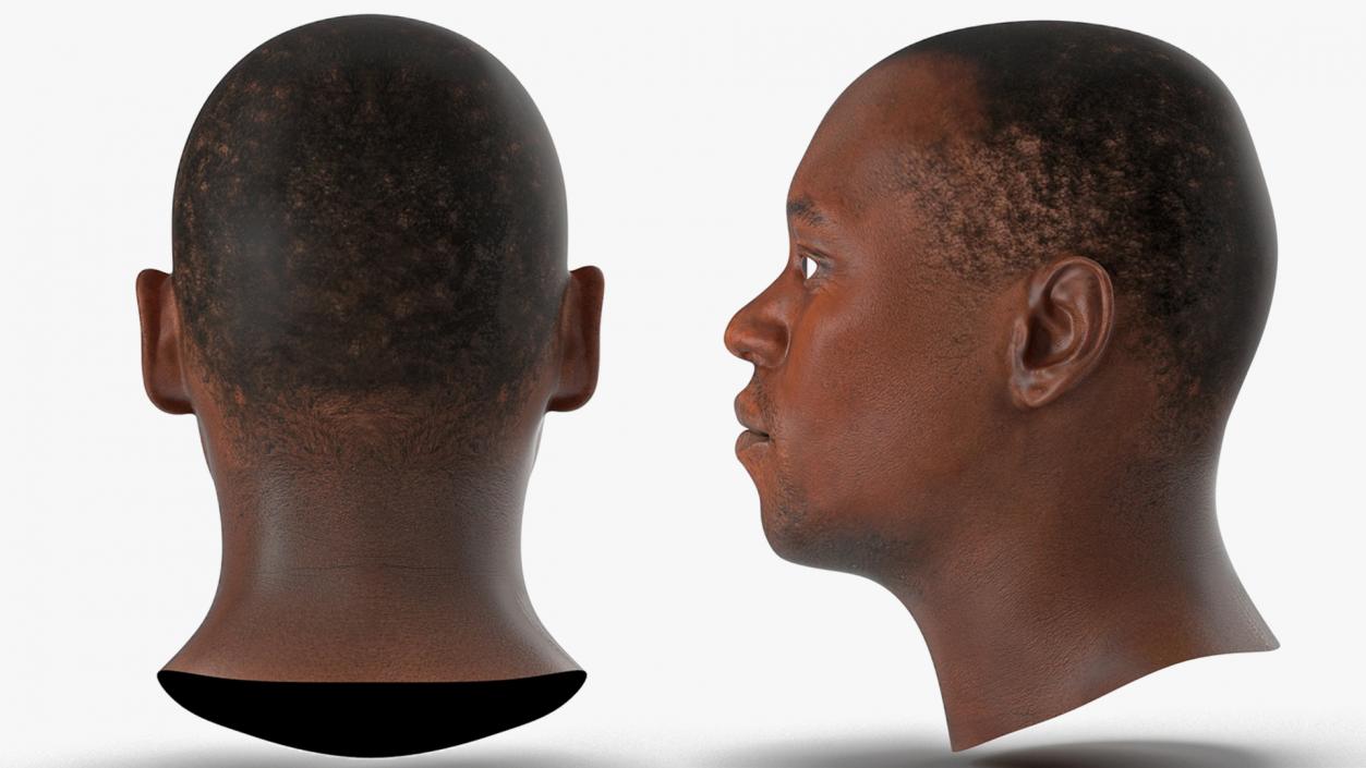 3D Male Heads Collection 4 model