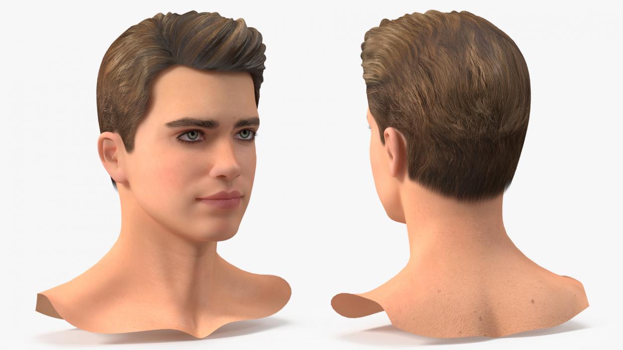 3D Male Heads Collection 4 model