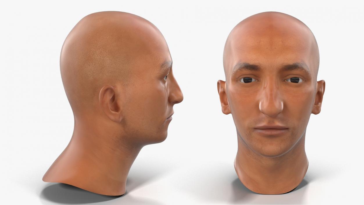 3D Male Heads Collection 4 model