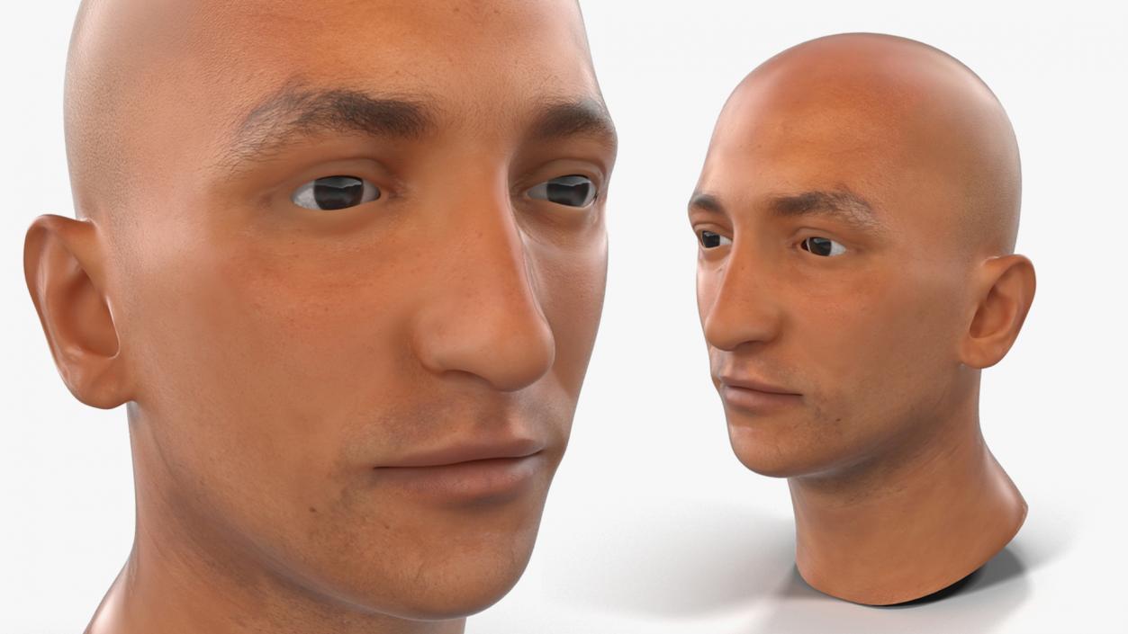 3D Male Heads Collection 4 model