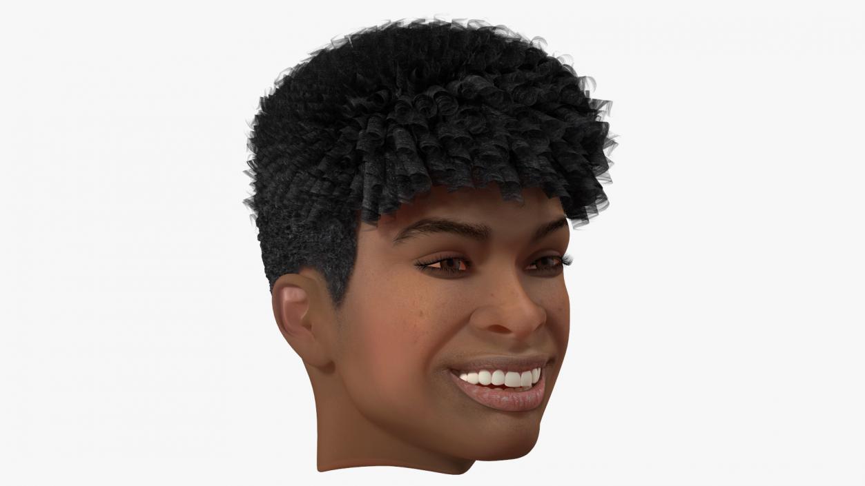 3D Male Heads Collection 4 model