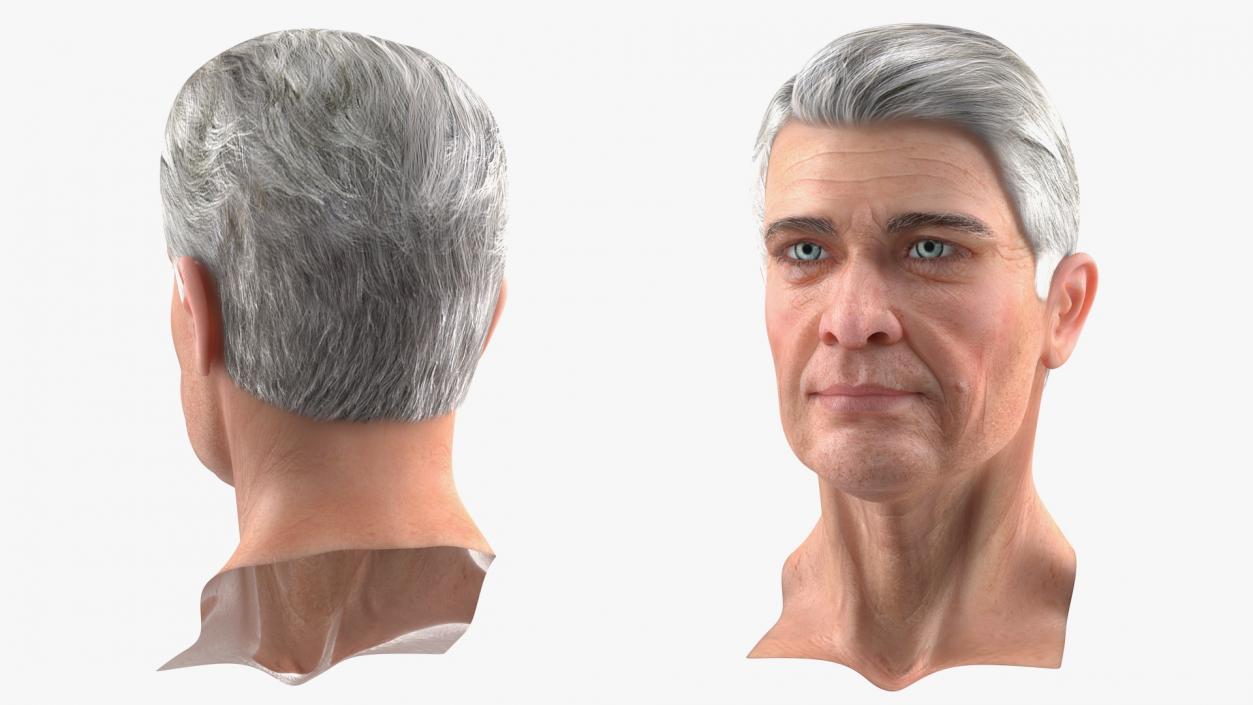 3D Male Heads Collection 4 model