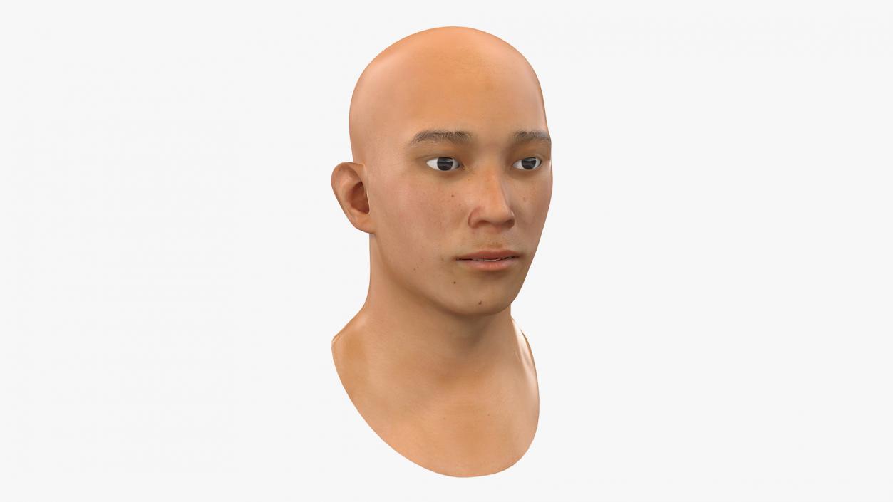 3D Male Heads Collection 4 model