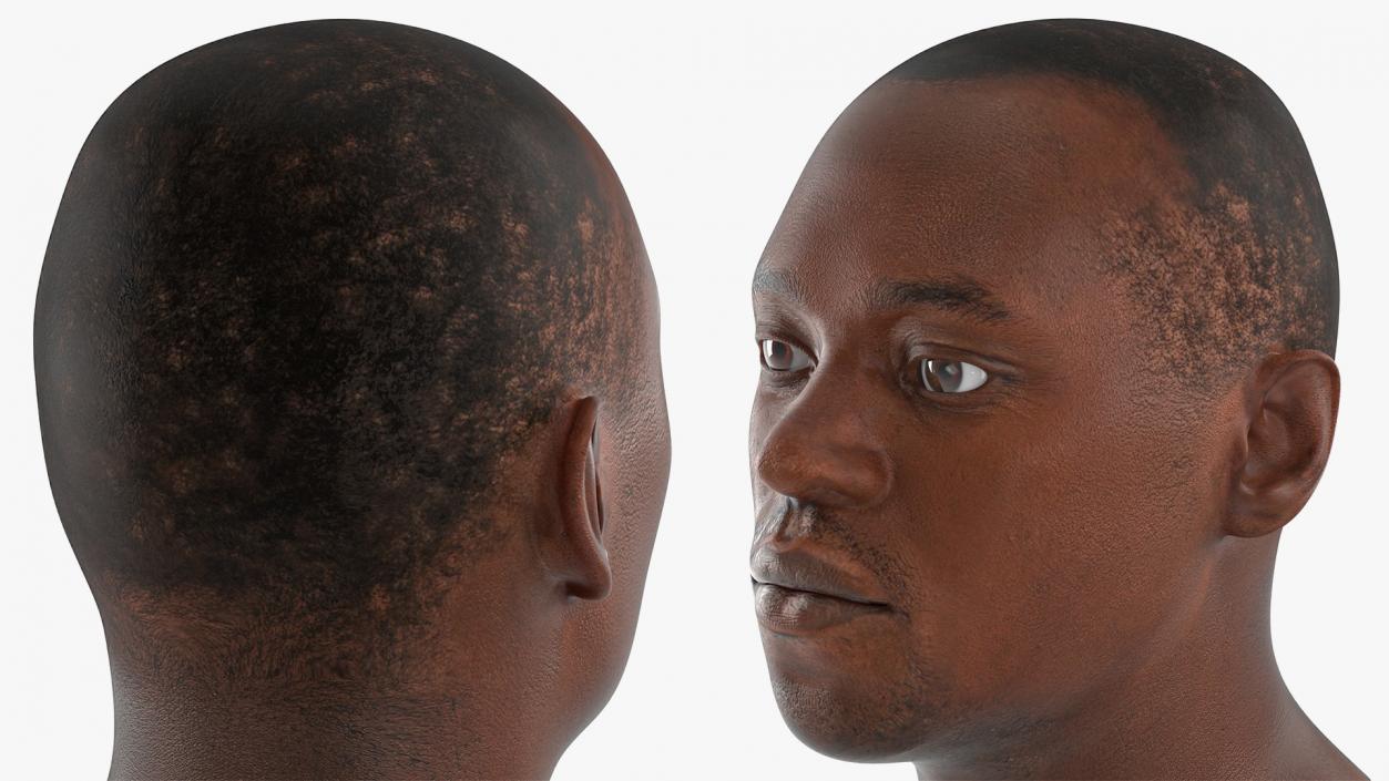 3D Male Heads Collection 4 model