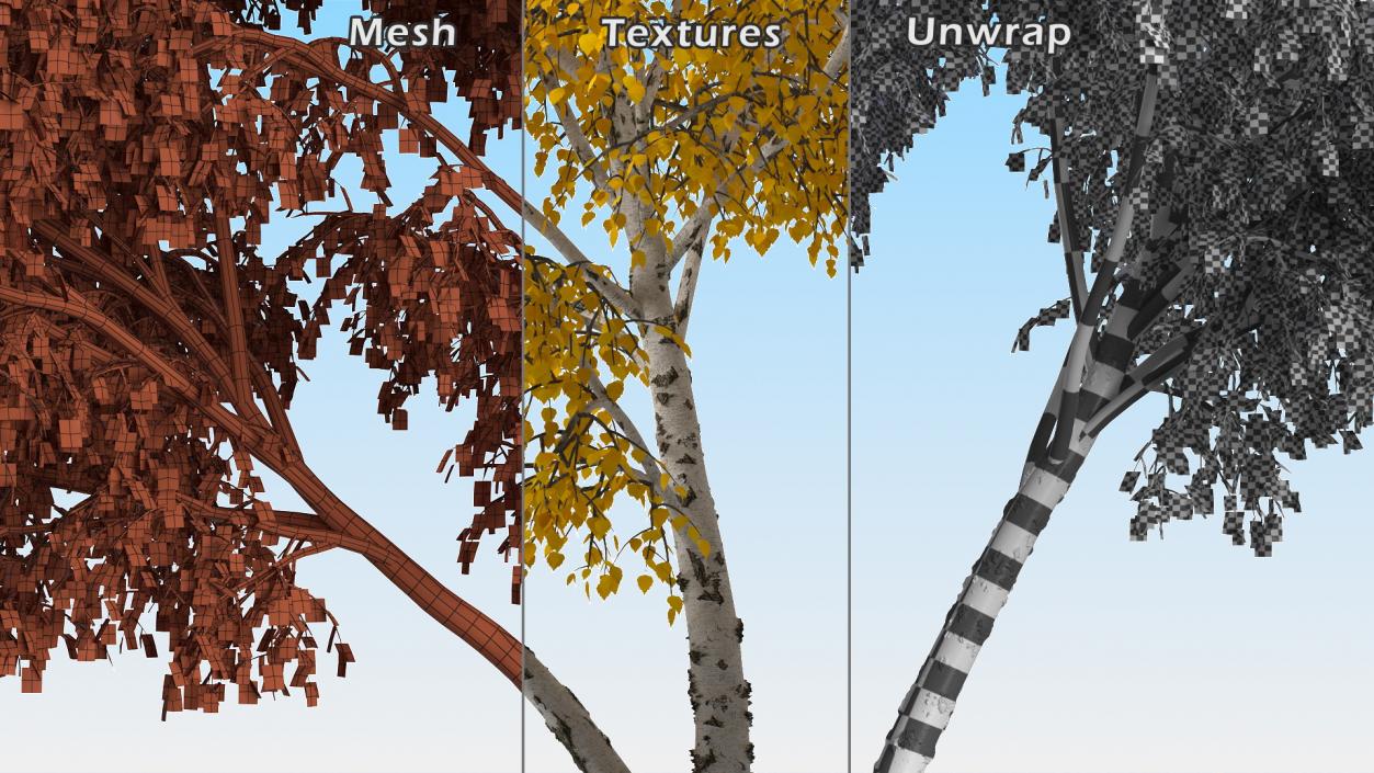 3D model Autumn Yellow Trees Collection