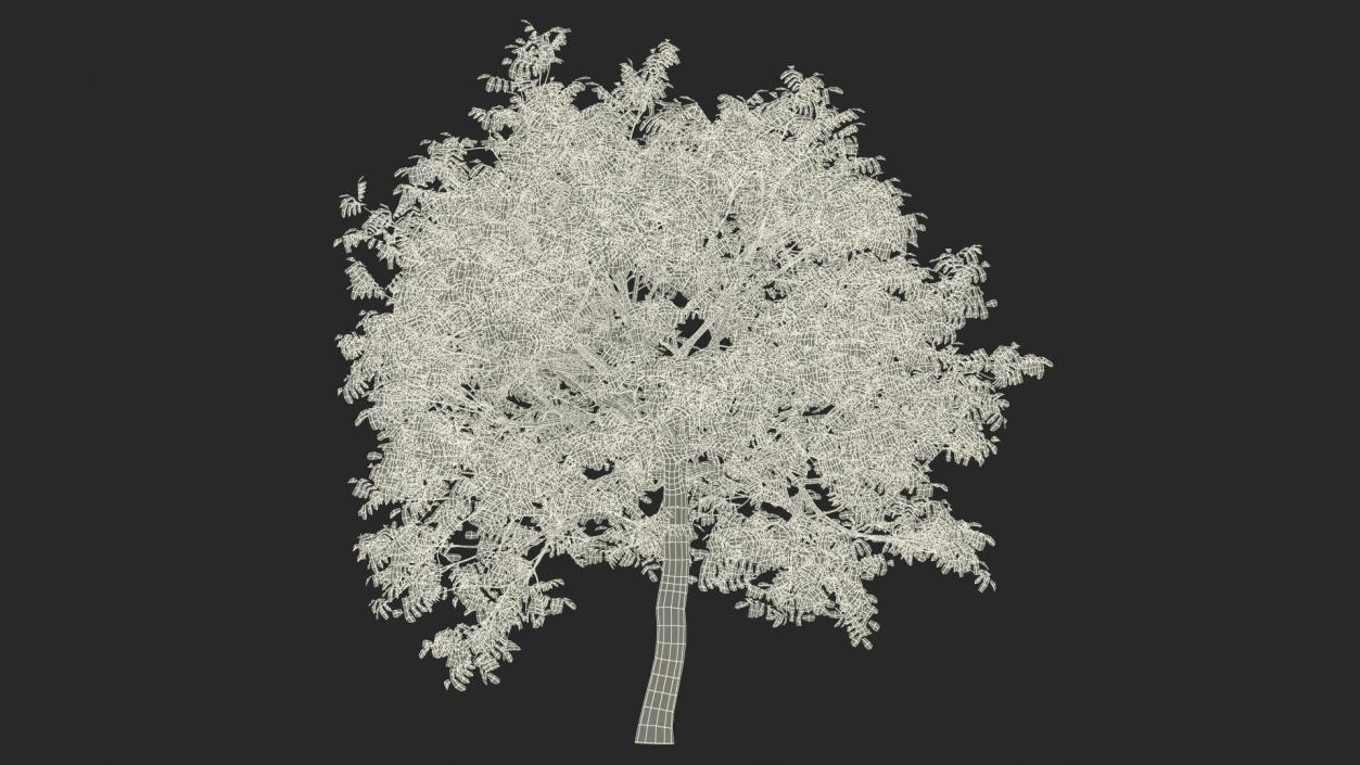 3D model Autumn Yellow Trees Collection