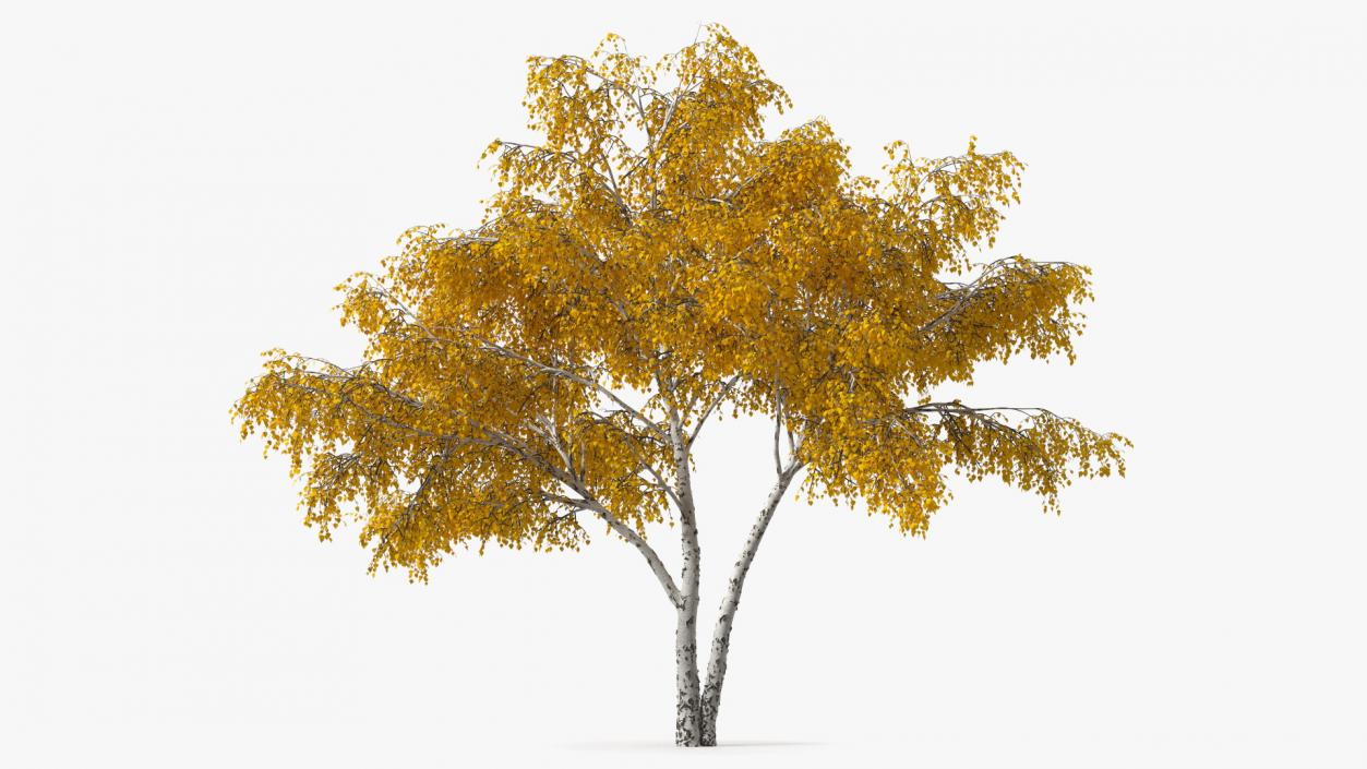 3D model Autumn Yellow Trees Collection