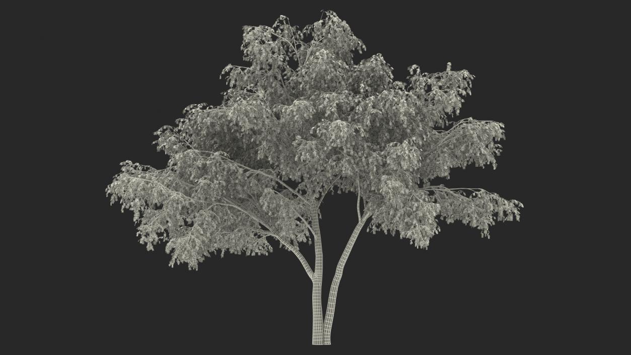 3D model Autumn Yellow Trees Collection