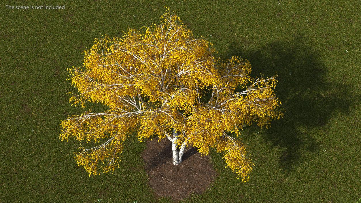 3D model Autumn Yellow Trees Collection