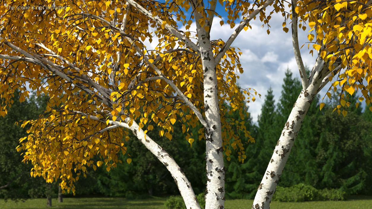 3D model Autumn Yellow Trees Collection