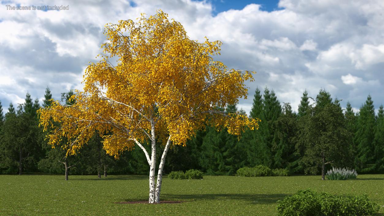 3D model Autumn Yellow Trees Collection