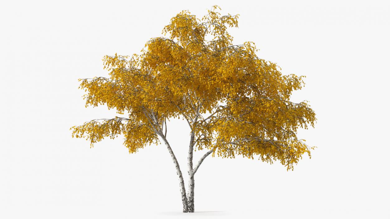 3D model Autumn Yellow Trees Collection