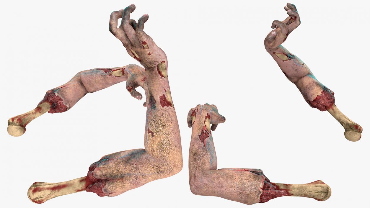 3D Zombie Arms Attack Pose model