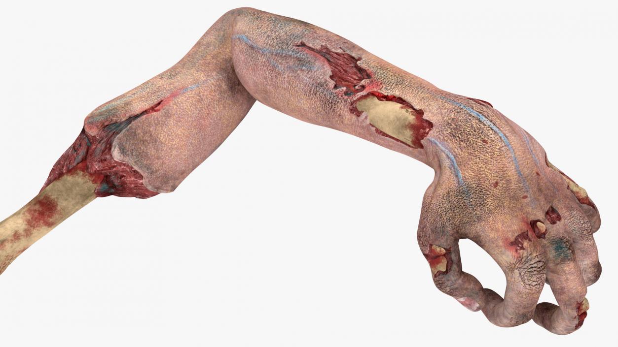 3D Zombie Arms Attack Pose model