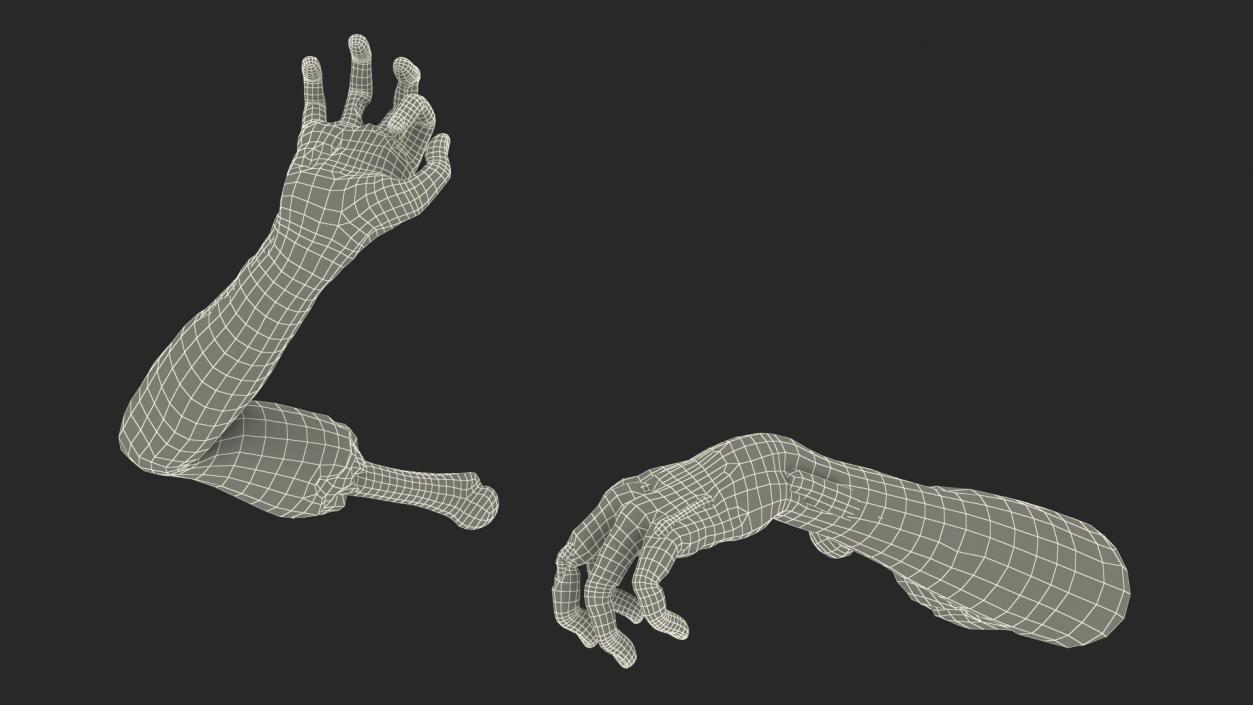 3D Zombie Arms Attack Pose model