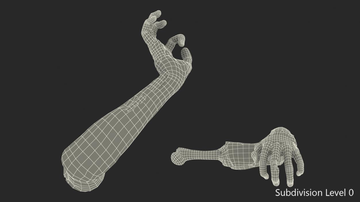 3D Zombie Arms Attack Pose model