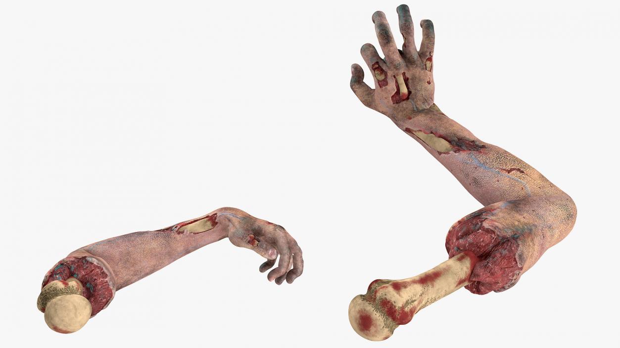 3D Zombie Arms Attack Pose model