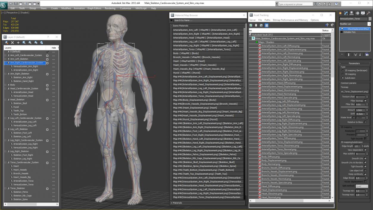 Male Skeleton Cardiovascular System and Skin 3D model